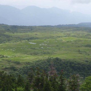 No.558-1:立山弥陀ヶ原・大日平、ラムサール条約湿地 登録へ