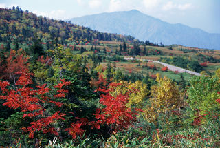 No.627-2:紅葉に染まる富山の旅……観光コンシェルジュが紅葉の見どころPick Up♪