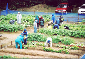 No.257-1:土に触れ、野菜を育てる！　田舎暮らし体験「とやま帰農塾」、受講者募集