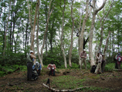 No.398-2:北陸初の認定！　立山山麓エリア、「森林セラピー基地」に