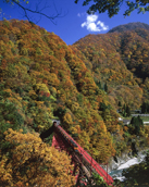 No.425-2:深まる秋、富山の紅葉を愛でるひととき